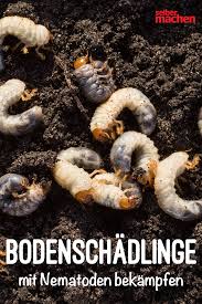 Nematoden Als Biologischer Pflanzenschutz Pflanzen Garten Pflanzen Pflanzenschutz