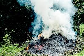 Check your bin collection day. Residents Urged Not To Burn Waste During Lockdown Northamptonshire Fire And Rescue Service