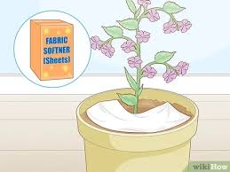 So, if you want to keep gnats from your face, you can place a dryer sheet in your pocket before heading outside. 3 Easy Ways To Get Rid Of Gnats In Houseplants Wikihow