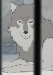 Check out amazing anime_white_wolf artwork on deviantart. Wolves Characters Anime Planet