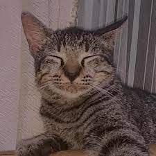 Tembung lingga ana kang dumadi saka sakwanda, rong wanda, utawa telung wanda (suku kata). 1 Gawea Ukara Tentang Virus Corona Nganggo Basa Krama 5 Wae 2 Gawea Ukara Basa Krama Nganggo Brainly Co Id