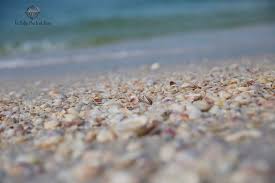 Image result for Sandy Beach 2013 Captiva