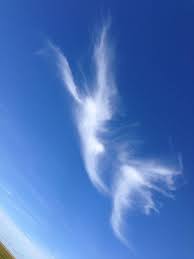 I Heard Look Up And I Saw This Magnificent Angel In The Sky What Do You See Angel Clouds Angel Pictures Angel Sightings