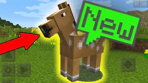 Check spelling or type a new query. New Minecraft Horses In Minecraft Pe Pocket Edition Youtube