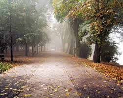 Bak Su Yere Dusen Yapraga Bir Zamanlar Oda Yuksekten Bakardi Topraga Country Roads Road Future Quotes