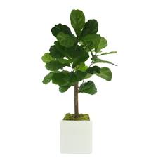 Magical, meaningful items you can't find anywhere else. Luxury Planter Faux Plants Trees Perigold