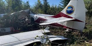 Crash of a De Havilland DHC-3 Otter in Dry Bay