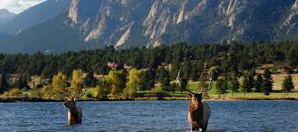 The studio fine art and framing 1.9 km. Rocky Mountain National Park Near Longmont Colorado