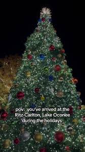 You’ve arrived to the Ritz-Carlton, Lake Oconee 🌲 The Holiday Season is  here 🎄 Experience the magic of the holidays