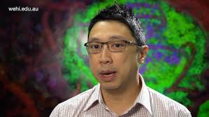 Dr Jason Tye Din, coeliac disease researcher