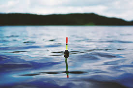 Resident inland fishing and small game firearms hunting. Fish For Free This Weekend In Virginia