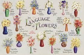 A timeless floral beauty.thinking about a curtain or blind? Somehow We Bloom Review Of The Lost Language Of Flowers Joy Murray Art Stories Life