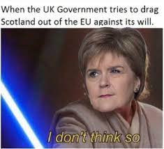 Free anonymous url redirection service. Nicolastarwars1 Nicola Sturgeon Saves The Day Calm Doon Am Oan It Know Your Meme