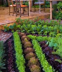 Great Idea Edible Garden Edible Landscaping Outdoor Gardens