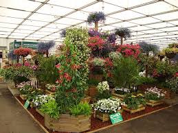 Like The Planter Box Ideas Garden Center Displays Garden Center Flower Planters
