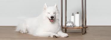 From our pet hotel & doggie day camp as an alternative to pet sitting, to our dog training and grooming as an alternative to diy, our services are conveniently located inside most of our petsmart stores. Pet Services Petsmart