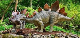Dan ada warna merah untuk artinya sudah admin jelaskan diatas. 6 Fakta Unik Stegosaurus Dinosaurus Besar Berotak Kecil