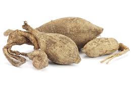 Die meisten dahlienfans ziehen es vor, sie aus knollen. Dahlienknollen Wassern K Eine Gute Idee