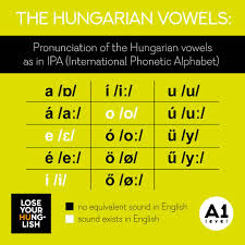 The international phonetic alphabet (ipa)note 1 is an alphabetic system of phonetic notation based primarily on the latin alphabet. Lose Your Hunglish Home Facebook