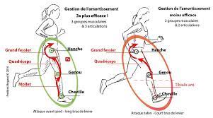 Top 10 des biens faits du running. Comment Ameliorer Sa Foulee Pour Courir Plus Vite Sans Se Fatiguer Sport Equipements