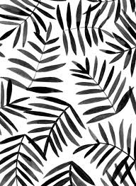 Black And White Illustration Pinterest Black Palm Eva Black Design Prints Background Patterns Patterns In Nature
