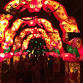 The Asian Lantern Festival: Into the Wild event image