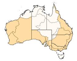 Termite Types And Pest Species In Australia Rentokil Australia