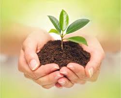 Save Environment Using AAC Blocks