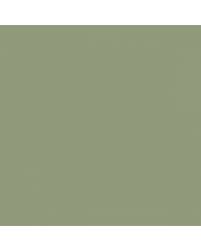 Image result for Terragon Green 1956 Pontiac