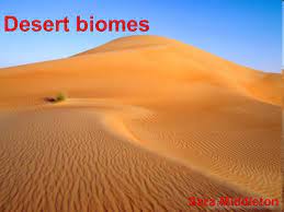 It can be a serious struggle to get a fluffy texture and consistency without eggs, especially when the goods are already grainless. Desert Biomes