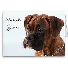 Wela'lioq (thank you all), keystone puppies! Pin On Thank You Greeting Cards