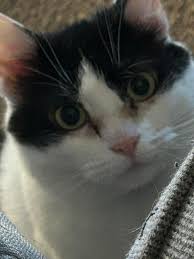 Instagram photo by Terrence Ring • Mar 28, 2025 at 7:12 PM