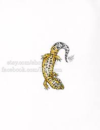 We did not find results for: Leopard Gecko Original Art Tattoo Design Traditional Media Reptile Lizard Artwork 8x11 Commercial License Distribution Available Sold By Duelism On Storenvy