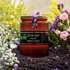 Egricayir Organik Bal Cicek Flowers Flower Bahce Saksi Toprak Organik Hobi Poliflora Candle Jars Starbucks Iced Coffee Bottle Starbucks Iced Coffee