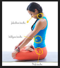 A brief introduction to the bandhas for use in the bikram yoga practice or other yoga posture practices. Bandhas The Inner Body Locks In Yoga Stephanie Scavelli