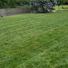 Local columbus, oh lawn care & tree care services. The 10 Best Lawn Care Services In Columbus Oh With Free Estimates