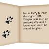 What to write in a pet sympathy card. Https Encrypted Tbn0 Gstatic Com Images Q Tbn And9gcrqb3gqcwdzgxi3uhqpl7izzz9aaja4kqrpfbfyxso8w9gxwwrr Usqp Cau
