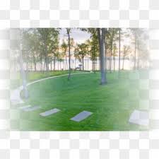 Maybe you would like to learn more about one of these? Free Grass Transparent Png Transparent Images Page 13 Pikpng
