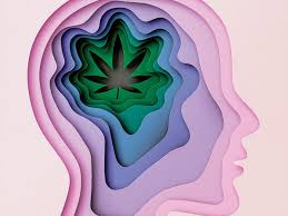 We did not find results for: Is Marijuana As Safe As We Think The New Yorker