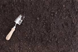 Service first landscapers offers state of the art landscaping services in alpharetta, ga, roswell, ga, and the nearby areas. Mulch Pros Landscape Supply Bulk Mulch And Soil Supplier And Delivery