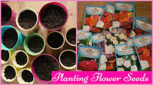 We did not find results for: Planting Flower Seeds Youtube