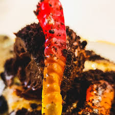 TOP 10 BEST Soup near Art Museum District, Philadelphia, PA - Updated 2025  - Yelp