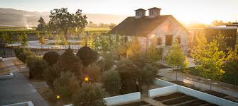 Maybe you would like to learn more about one of these? Hall Wines Hall Group