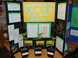 Elementary Science Fair Project Science Fair Board Science Fair Projects Plant Science Fair Projects