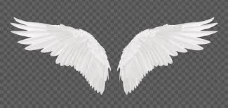 Las alas, excepto las alas de polluelo son accesorios del modo difícil que le permiten al jugador volar por un determinado periodo de tiempo al presionar la tecla para saltar cuando se encuentra en el aire. Vector Realistic Angel Wings Isolated On Transparent Background Angel Wings Pictures Angel Wings Vector Angel Wings Png