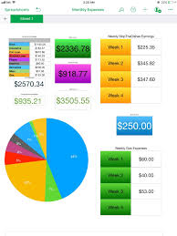 oc made a monthly expense chart to keep track of spending