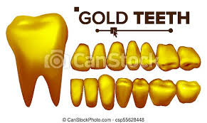 Princess crown gold teeth drawing, hand painted gold crown, gold crown png clipart. Golden Tooth Vector Metal Gold Human Teeth Isolated Illustration Gold Tooth Vector Metal Golden Human Teeth Old Pirate Canstock