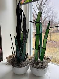 I love Coneflowers. They come back every year around my patio.