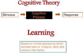 Sen Teachers Have To Deal With Cognition And Learning Needs It Is One Of The Most Important Part Special Special Education Education Special Education Courses