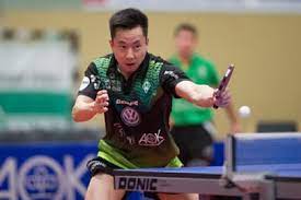 Tsuboi Gustavo S Equipment Racket Rubbers Tabletennis Reference